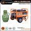 Promotion!!!6kw LPG/gasoline generator home standby power