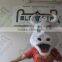 The white cow cartoon mascot costume