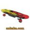E-Skateboard- Electric Skateboard 150W