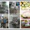 Factory price good quality pumpkin bread making machine with best service