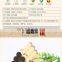 Chinese artemisia mugwort stick smokeless moxa roll and moxa stick