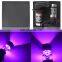 NEW 2x 9005 H10 9145 14000K Purple 100W LED Headlight Bulbs Kit Fog Light For Toyota Sequoia
