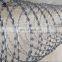 Protection Iron Wire Galvanized Silver Barbed Wire Mesh Wall Spike