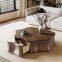 Modern Wood Coffee Table with Walnut Veneer & Stainless steel base