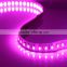 Interior Decoration LED Strip Light 3528 LED Strip LED Ring Light