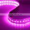 60LED SMD3528 Cuttable 390-395nm UV LEDStrip