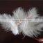 Wholesale DIY Craft Turkey Feather White Craft Feather And Decoration Feather For Sale