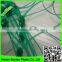 high quality plant support net /circular plant support /cucumber net with cheap price