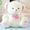 Lovely stuffed plush teddy bear toys for gift