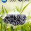 LI JING Taiwan best price drinking home pure CTO