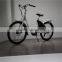 Lark bike Designed for Lady,caused the innovation of 36V10AH smart electric bike field