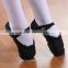 Soft ballet slippers dance shoes,Canvas Split Sole Ballet Shoes,girl women adult ballet footwear                        
                                                Quality Choice