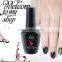 15ml Cat Eyes Gel Nail Polish Nail Art Varnish UV LED Lamp Manicure Magnetic Gel Tips
