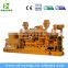 Bottom Price Shale Gas Generator Set