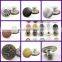 custom uniform jeans dome brass metal snap fastener