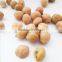 more than 8 mm fresh chickpeas xinjiang chickpea pois chiche