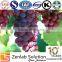 grape seed extract for Oligomeric Proantho Cyanidins