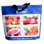 Lead Free Insulated Thermal Food Carry Bag Large Food Storage Bags