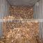 Banana tree barks_QQ : 2598494113