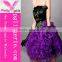 Halloween Plus Size Tutu Dress,High Quality Adult Tutu dress for girls