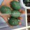 Wholesale Natural Green Aventurine Gemstone Egg for Sale
