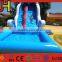 Inflatable Slide Type Customized Dolphin Inflatable Water Slides For Sale