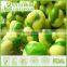 BRC Certified Natural Wasabi Coated Green Peas