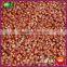 Best Sale Yanshan Fresh Chinese Chestnut Nuts With Bright Color