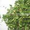  express wholesale spinach powder extract unique products to sell