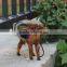 christmas decorations plastic toy desert animals