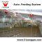 Auger Poultry Broiler Feeding System