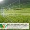 Field fence cattle fence sheep fence from anping factory