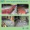 good quality vegetable washing grading machine