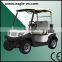 2 seat small golf cart in 2015