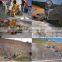 GEC customized dry and wet shotcrete machine system for sale