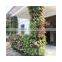 Green wall vertical garden