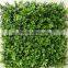 Decorative grass plants wall