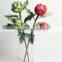 Natural Plastic Dragon Fruit Plant Decorative Fruit Plant for Decoration