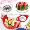 Easy to use convenient apple cutter with superb cutting edges