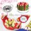 Various types of well designed vegetable and fruit slicer from Japanese supplier