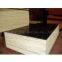 Black Film Faced Plywood First Grade
