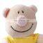 OEM Pink And Beige Colors Stuffed Plush Pig Toy Keychain