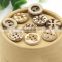 Hot 4 holes 12mm Custom Nice Crafts Coconut Buttons for Shirt