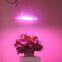 Full Spectrum LED Grow Lights 1000watts for Plant Factory City Farming