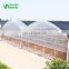 Factory Price High Quality Greenhouses/Garden Greenhouse/Low Cost Greenhouse