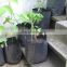 PE Tarpaulin Plant Grow Nursery Bags waterproof garden bags