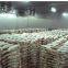 Cold storage flower storage cold room