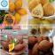 Hot sale Longyu Scale Mixing Making Freezing Extrusion Kubbeh Maker