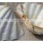 Seashell Handicraft Vietnam/Natural Seashell Craft