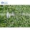 2021 Sinocharm BRC-A Approved  IQF Frozen Edamame original fresh  green Frozen Edamame